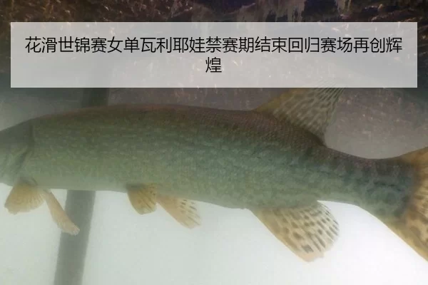 花滑世锦赛女单瓦利耶娃禁赛期结束回归赛场再创辉煌
